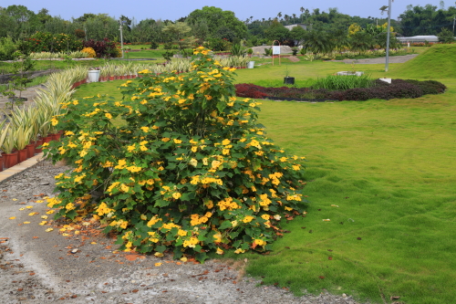 圖片：植葬(環保自然葬區)，共16張